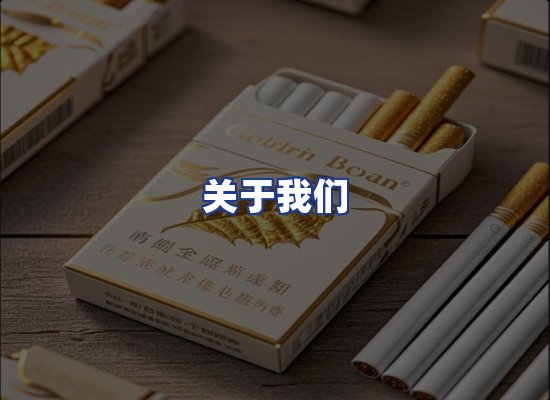 专业团队